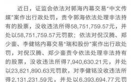 弟弟偷听后炒股亏10万还被罚了15万(天翔环境内幕公司证监会)