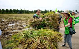 河南6人上榜！(救援上榜水稻群众一名)