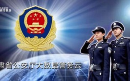 大数据破案 警务APP办事儿(宣讲民警斑马线警务公安局)