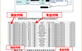 在网上报名佛山成人高考可靠吗？