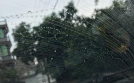 ...(块钱雨刮器打了跑了流水)