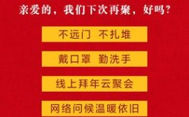 政府鼓励群众网络拜年(疫情新京报西平走亲访友冠状)