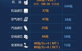 家用燃油轿车7年成本多少？(年成燃油保养轿车那人)