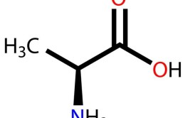 丙氨酸化学式