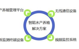 如何让渔业更“智慧”？新质生产力赋能科技人才双路径(渔业生产力智慧数字农业)