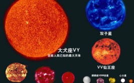 宇宙最大的星球是什么星球?