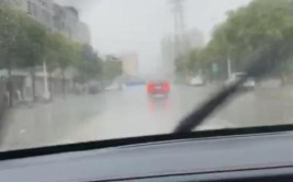 雨刮器根本忙不过来，要罢工了(雨刮器罢工暴力遭受再次)