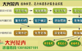 绿意盎然云松园林植物租赁服务流程指南