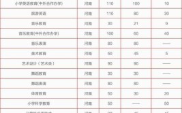 2024年郑州幼儿师范高等专科学校中外合作办学专业学费多少钱