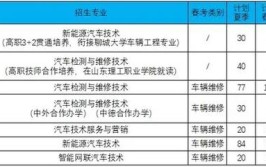 对汽车行业有兴趣？Unitec理工学院汽车工程专业满足你(汽车证书课程工程理工学院)