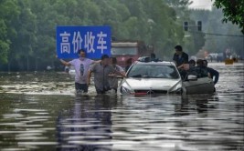 八成拍卖后可能整车流向市场(水车水淹车辆二手车保险公司)