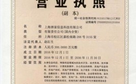 常州789家企业拟被吊销营业执照(有限公司商贸有限公司科技有限公司工程有限公司材料有限公司)