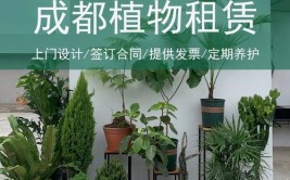 成都室内植物租赁养护