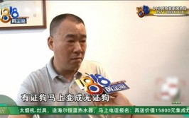 客厅起火损失十几万 怀疑999买的“小狗”(吸尘器小狗小杨起火客厅)