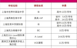 上海大学国际本科学费需要多少