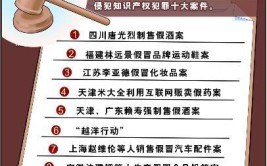 省公安厅发布全省十大侵犯知识产权犯罪案件(假冒犯罪嫌疑人公安局查获窝点)