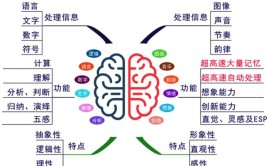 左右结构和左中右结构的区别