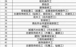 国网技工如何才能取得除电工和焊工外还有什么专业可以报考