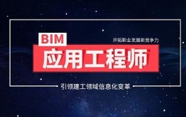 操作BIM软件一定要专业人员吗