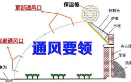 冬季温室大棚坚持每天通风有哪些好处如何做到安全保温通风