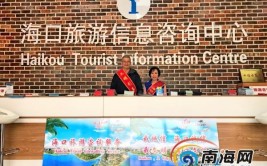 如何建好用好旅游信息咨询中心？(咨询中心旅游信息旅游局游客记者)