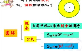 圆的面积和谁成正比例