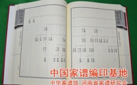 《中国陈氏家谱 陈姓字辈大全》第三卷（1001～1500续）(陈氏家谱第三卷传家大全)