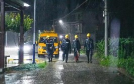 国网华安县供电公司：雨夜抢修记(抢修供电所人员供电大树)