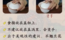 盖碗泡茶有何讲究