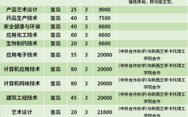 金华职业技术学院中外合作办学学费多少钱一年