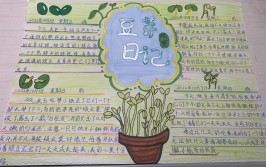 黄豆芽生长记｜小学生如何写植物生长观察日记