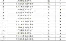 四川双高计划和民办本科哪个好