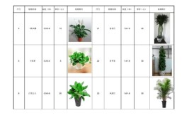 2024年室内植物墙价格制作预算