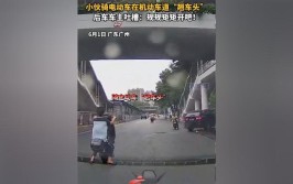 好忧桑(路口电动车撞了车头不看)