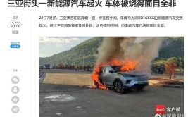 抖音上火了(新能源汽车经济区淮海火了)