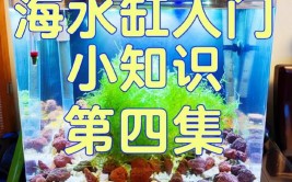 改善你家海缸水质只需6步一起来看看吧