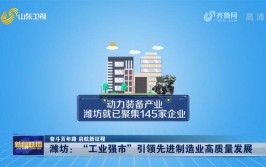 潍坊动力：一座盛产冠军企业的城市(企业冠军动力产业盛产)