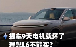 理想新能源车还是新问题车？丁小姐提车9天电机故障事件深度剖析(新能源电动汽车天电小姐消费者)