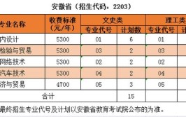 2024沙洲职业工学院提前招生学费多少钱一年