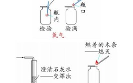 实验室制取二氧化碳的方法有哪些