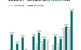 下半年会变成理想型(理想汽车销量受挫下半年)