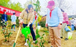 汉滨区学校幼儿园精心组织植树节植绿护绿主题活动