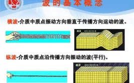 纵波和横波区别