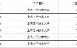 上海应用技术大学是211大学还是985大学