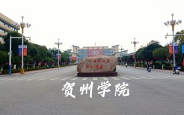 贺州学院是公办还是民办大学？