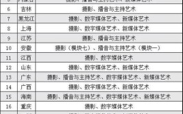 重庆城市职业学院艺术类专业有哪些？