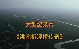 奔流·第一线丨奔流新闻实地探访：吉林洮南已经开建新桥(浮桥奔流修建告诉记者新闻记者)