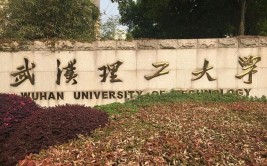 武汉理工是985还是211学校