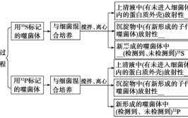 核酸是一切生物的遗传物质吗