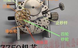 学会修表很简单：零基础也能学会2824、955、2834、2892机芯保养(机芯钟表学会也能很简单)